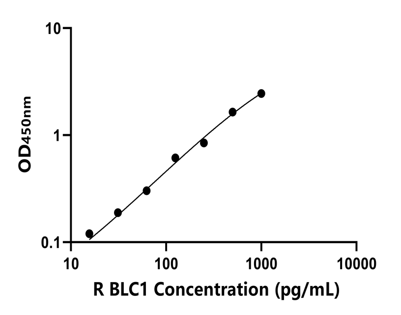 大鼠(BLC1)ELISA試劑盒 大鼠(BLC1)ELISA試劑盒