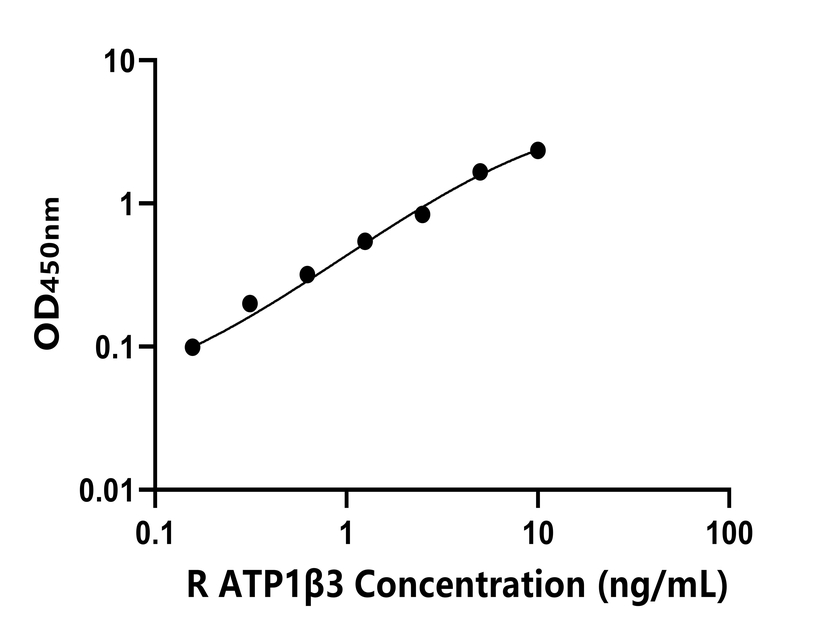 大鼠(ATP1β3)ELISA試劑盒 大鼠(ATP1β3)ELISA試劑盒