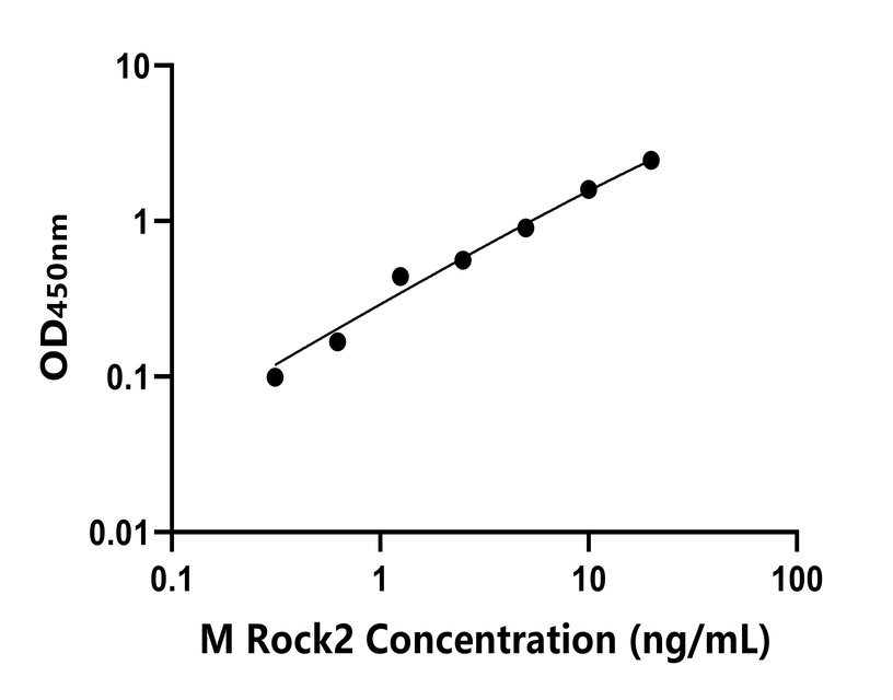 小鼠(Rock2)ELISA試劑盒